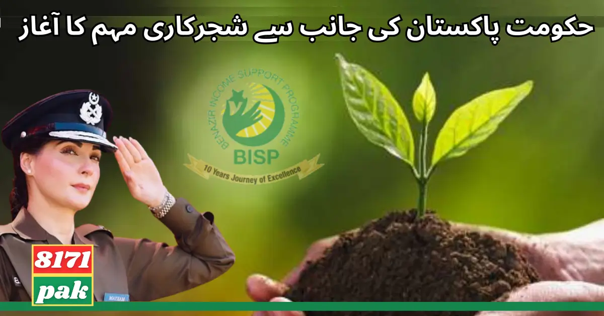 BISP Started The Plantation Campaign By Government of Pakistan